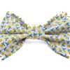 daffodil girl dog bow