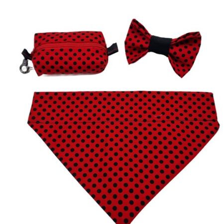 Ladybug dog accessories bundle