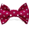 raspberry and stars girl dog bow