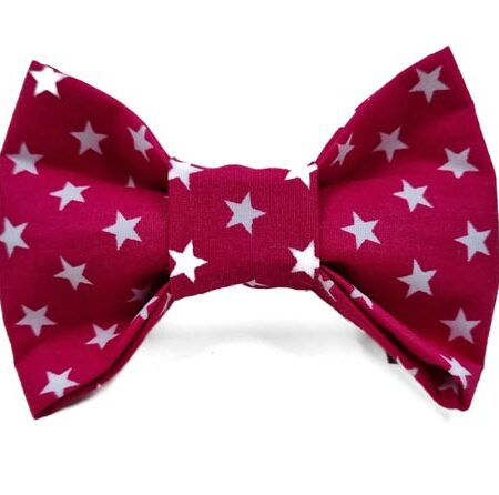 raspberry and stars girl dog bow