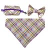 Summer gingham dog accessories bundle