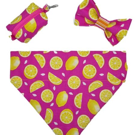 summer pink lemonade dog accessories bundle