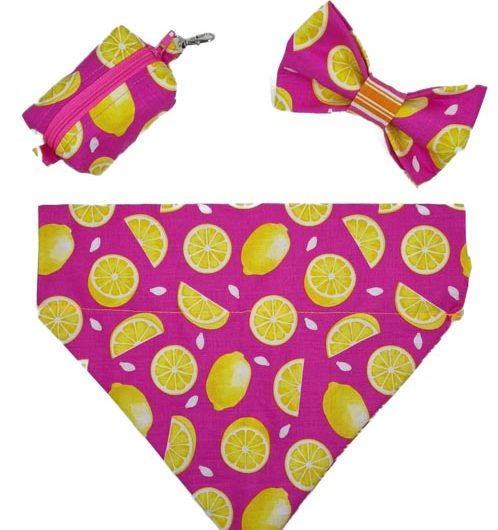 summer pink lemonade dog accessories bundle