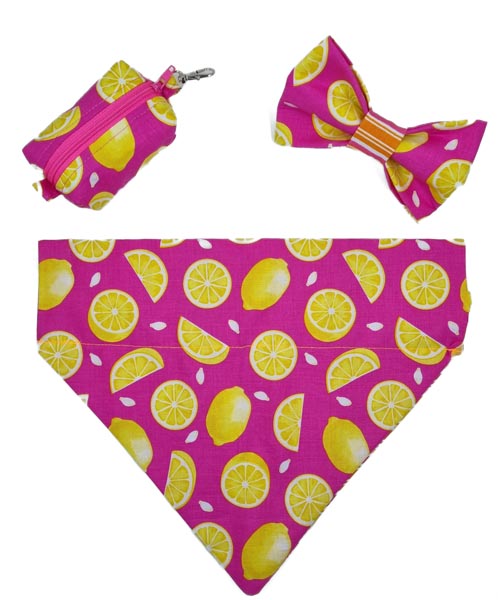 summer pink lemonade dog accessories bundle